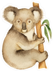 Watercolor Koala Sticker