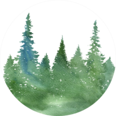 Watercolor Landscape With Fir Trees And Grass Abstract Sticker