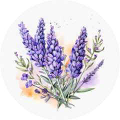 Watercolor Lavender Art Sticker
