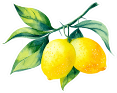 Watercolor Lemons Sticker