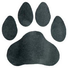 Watercolor Leopard Paw Print Sticker
