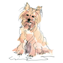 Watercolor Maltese Sketch Sticker