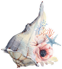 Watercolor Nautical Seashell and Flower Sticker