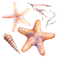 Watercolor Orange Starfishes, Seaweed Sticker