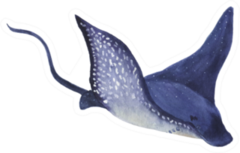 Watercolor Painting A Stingray Purple Sticker