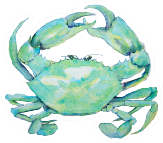 Watercolor Painting Of Blue Green Crab Sticker