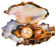 Watercolor Painting Of Pearl In Shell Sticker