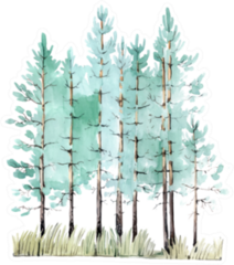 Watercolor Painting Of Young Pine-tree Wood Sticker