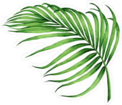 Watercolor Palm Frond Sticker