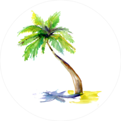Watercolor Palm Tree Sticker