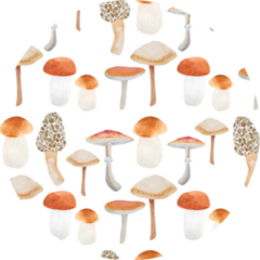 Watercolor Pattern With Various Mushrooms Sticker