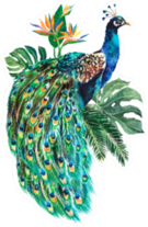 Watercolor Peacock Bird With Tropical Palm Leaves Sticker