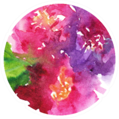 Watercolor Pink Purple Carnation Flower Floral Sticker