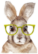 Watercolor Portrait Of Rabbit With Glasses Sticker