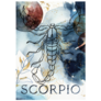 Watercolor Poster Of Zodiac Sign Scorpio Art Sticker