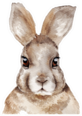 Watercolor Rabbit Portrait Sticker