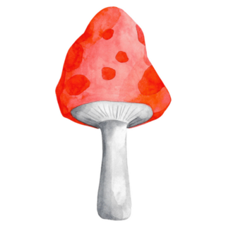 Watercolor Red Amanita Mushroom Sticker