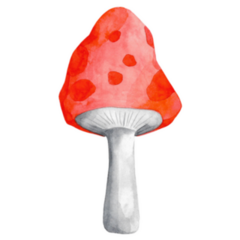 Watercolor Red Amanita Mushroom Sticker