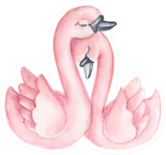 Watercolor Romantic Illustration A Pair Of Pink Swans Sticker