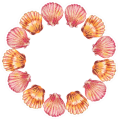 Watercolor Round Frame Of Sea Shells Sticker