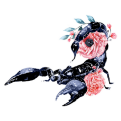 Watercolor Scorpio Illustration Blooming Flowers Sticker
