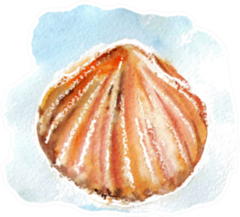 Watercolor Sea Shell On Blue Sticker