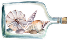 Watercolor Sea Shells In Glass Jar Sticker