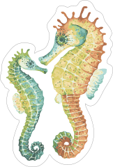 Watercolor Seahorse Duo Sticker