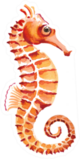Watercolor Seahorse Orange Sticker