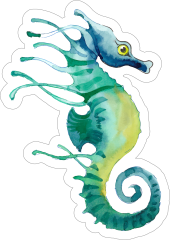 Watercolor Seahorse Sticker