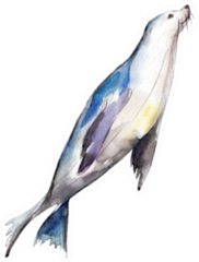 Watercolor Seal Hand-drawn Illustration Sticker