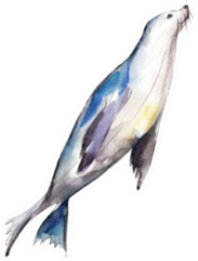Watercolor Seal Hand-drawn Illustration Sticker