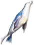 Watercolor Seal Hand-drawn Illustration Sticker