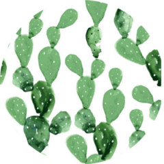 Watercolor Seamless Opuntia Cactus New Mexico Sticker