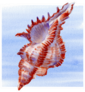 Watercolor Seashell On Square Waves Sticker