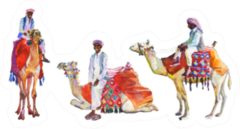 Watercolor Set Of Arabian Men And Camels Sticker