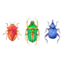 Watercolor Set Of Colorful Beetles Sticker