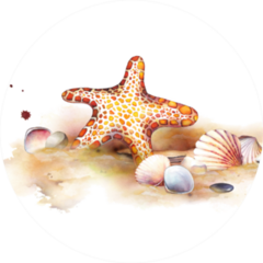 Watercolor Set Of Underwater Life Objects Sticker