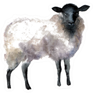 Watercolor Sheep, Hand Drawn Cute Illustration Sticker