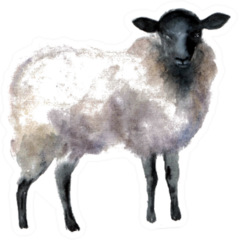 Watercolor Sheep, Hand Drawn Cute Illustration Sticker