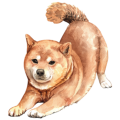 Watercolor Shiba Stretching Sticker