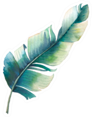 Watercolor Single Tropical Leaf Sticker