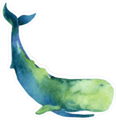 Watercolor Sperm Whale Sticker