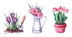 Watercolor Spring Tulip Set Sticker