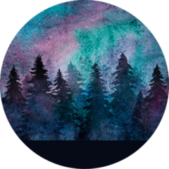 Watercolor Spruce Forest On The Starry Sky Background Sticker