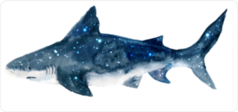 Watercolor Stars Shark Sticker