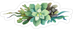 Watercolor Succulent Bouquet Sticker