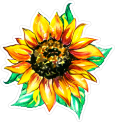 Watercolor Sunflower Green Leaves Sticker