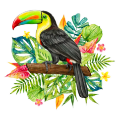 Watercolor Toucan On A Branch Sticker