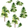 Watercolor Trees Seamless Pattern Sticker